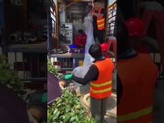 Επισκευή υπόγειων σωλήνων χωρίς τάφρους Δημόσιους υπονόμους Μηδενικός σκάψιμος εξοπλισμός υπεριώδους ωρίμανσης